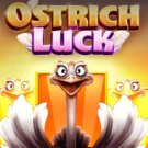 Ostrich Luck